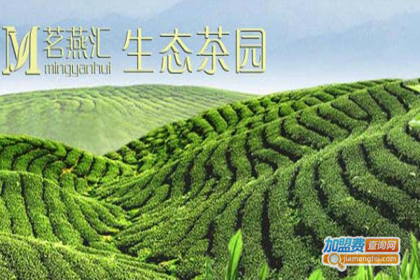 茗燕汇茶叶加盟费