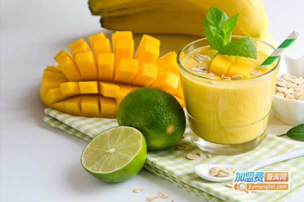 减肥奶昔加盟费