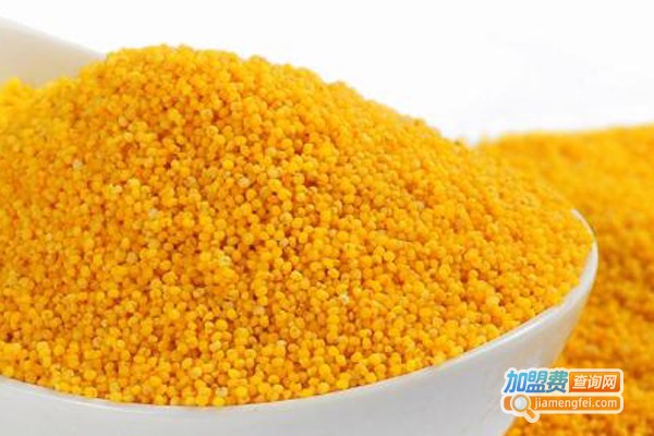 日照小米散酒加盟费