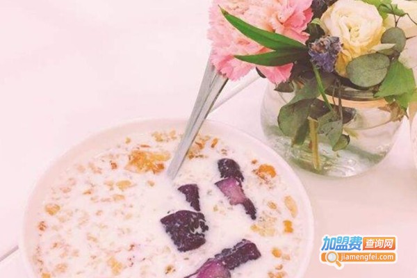 小妍子手制酸奶加盟费