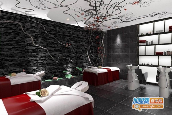 专业品牌美容加盟