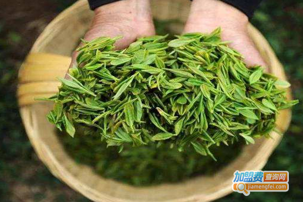 金草师傅加盟费