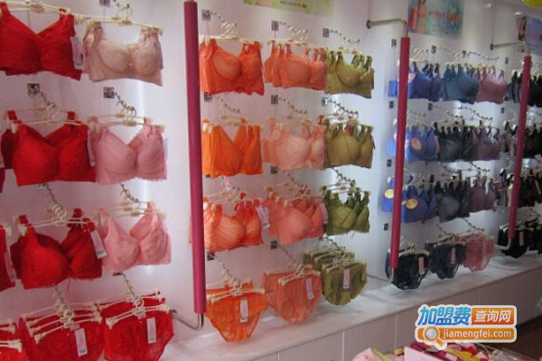 品牌内衣店加盟_加盟品牌内衣店轻松赚大钱！