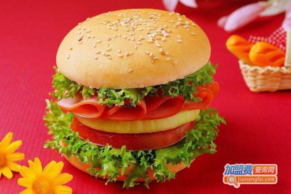 多乐先生炸鸡汉堡加盟费