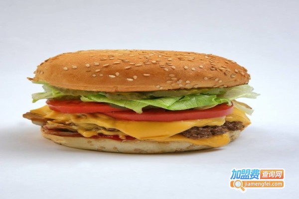 多乐先生炸鸡汉堡加盟费
