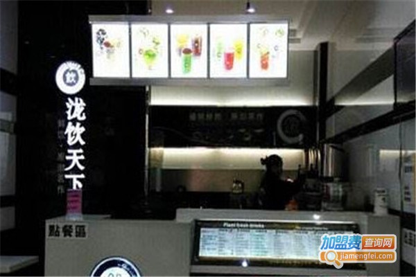 泷饮天下加盟费