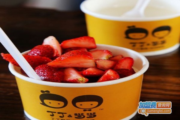 丁丁当当酸奶加盟