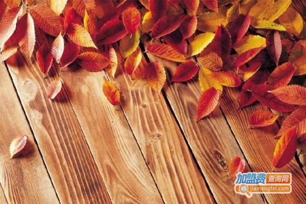 东洋铭木地板加盟费