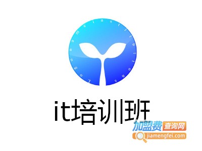 it培训班