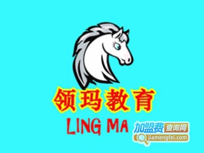 领玛幼儿早教加盟费