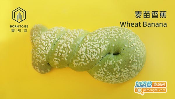 麦知道borntobe加盟费