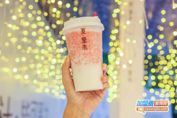 夏·里木加盟费