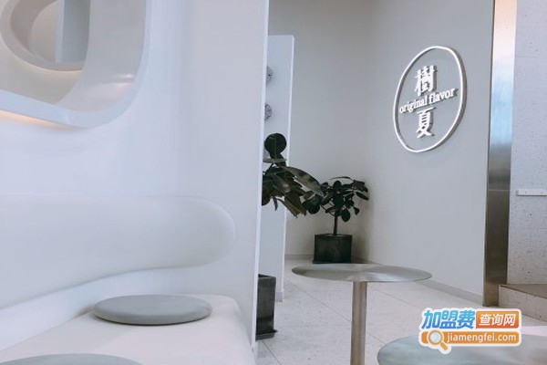 树夏奶茶加盟费
