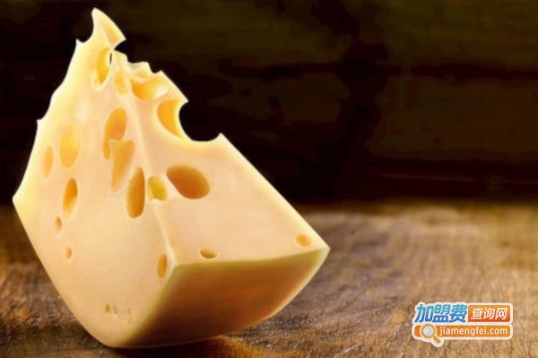 格格奶酪加盟费