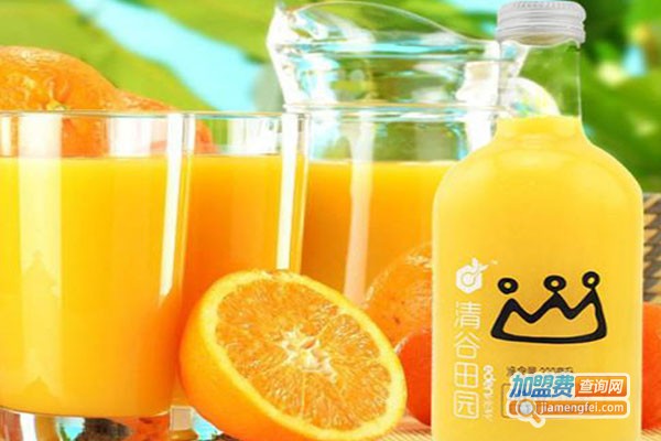 Frut Actually果汁加盟费