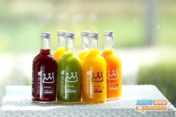 Frut Actually果汁加盟费