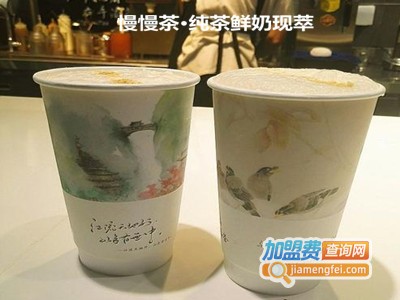 慢慢茶·纯茶鲜奶现萃加盟费
