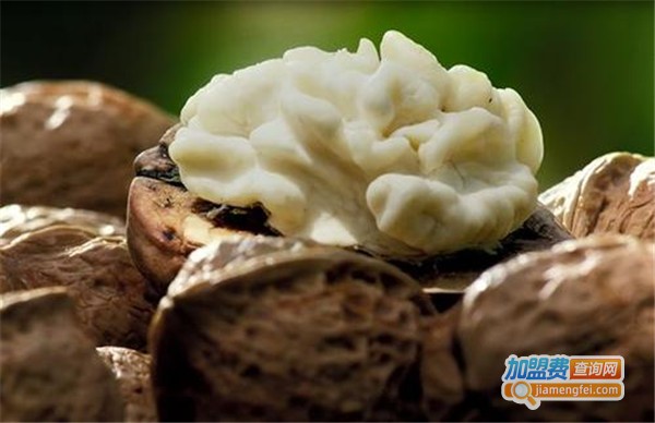 纯果满满加盟费