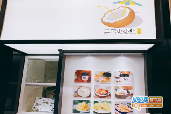 三只小小椰加盟费