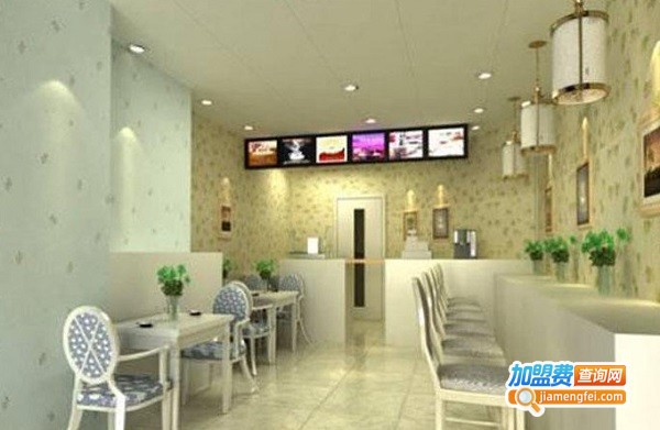 9+冰淇淋加盟费