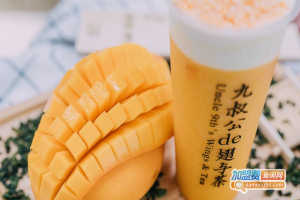 九叔公的翅与茶加盟费