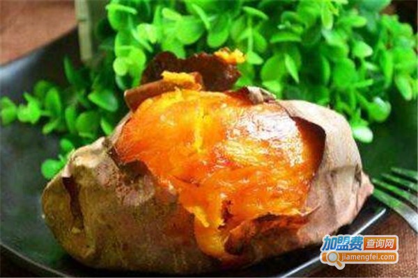 红薯爸爸加盟费