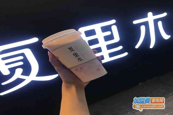 夏·里木加盟费