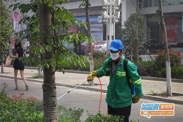 虫控公司加盟费