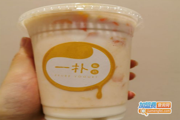 一朴酸奶加盟费
