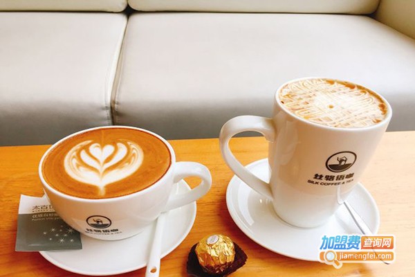 丝骆语咖加盟费