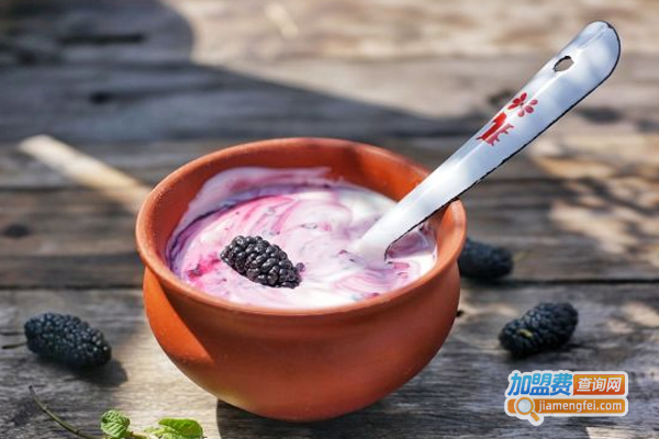 Tuk Tuk印度手工酸奶加盟费