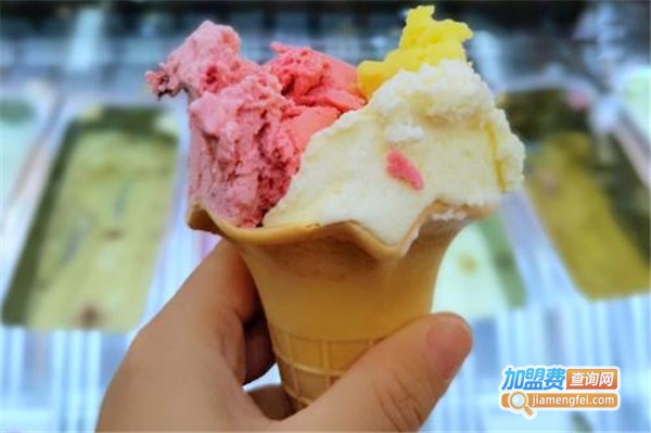 波兰超长冰淇淋加盟费