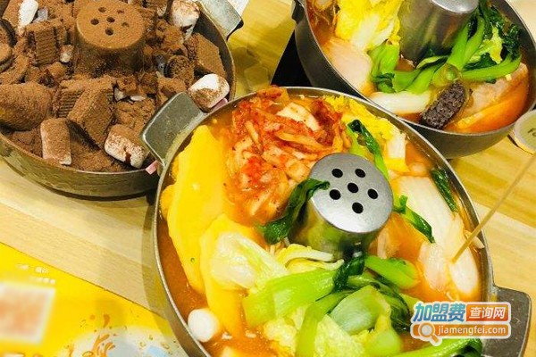 丸子家健康煮小火锅加盟门店