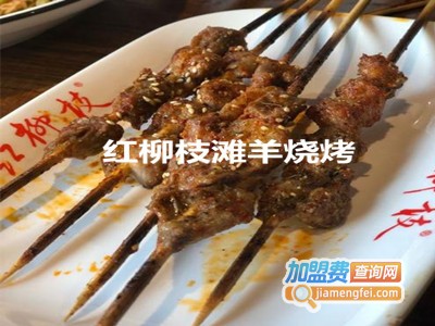 红柳枝滩羊烧烤加盟