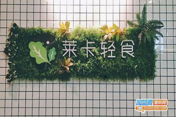 莱卡轻食沙拉加盟费