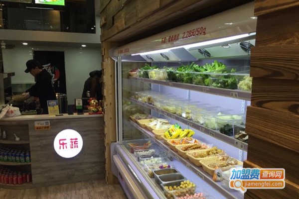 乐蔬小辣汤加盟费