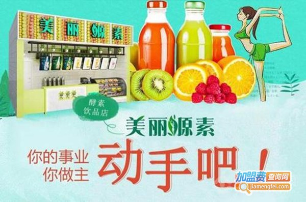 美丽源素加盟费