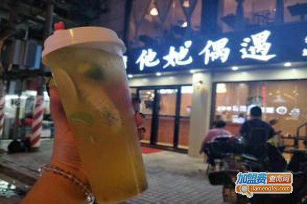 他她偶遇·水果茶加盟费