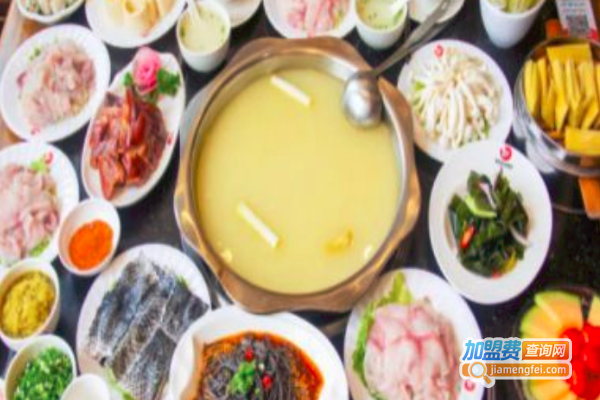 林和轩乌鱼加盟费