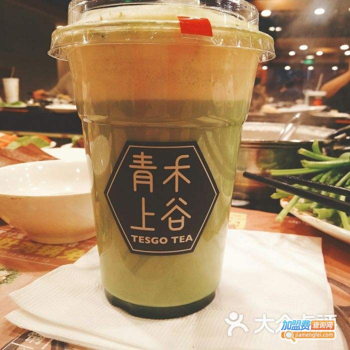 青禾上谷加盟费