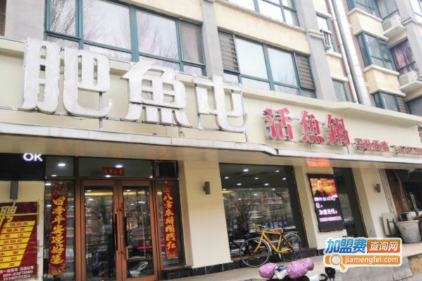 肥鱼屯活鱼锅加盟费