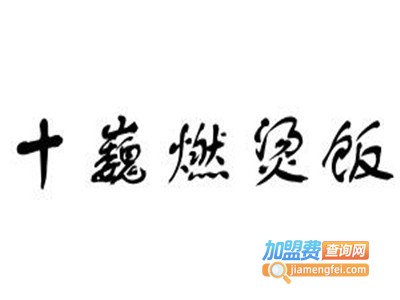 十巍燃烫饭加盟费
