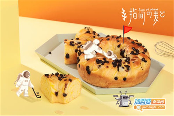 指间的麦芒加盟费