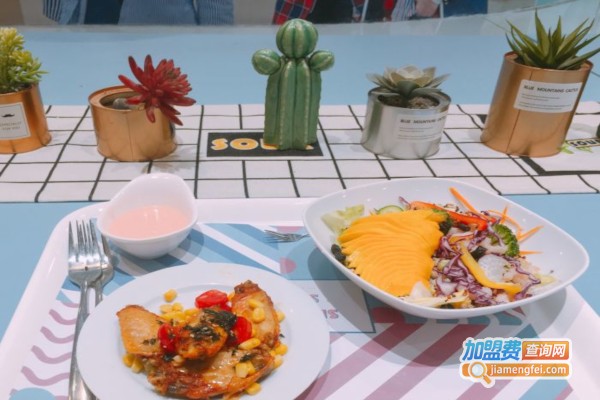 斯米兰沙拉加盟费