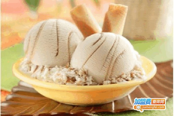 下雪的村庄冰淇淋加盟费