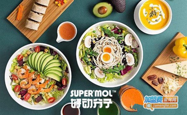 好动分子轻食加盟费