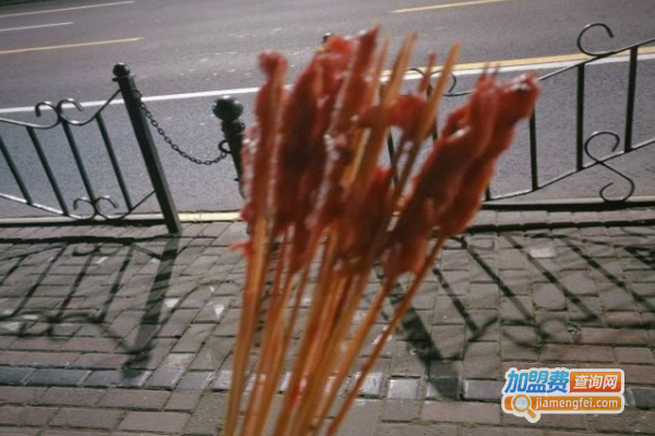 ***超人·油炸小串加盟费