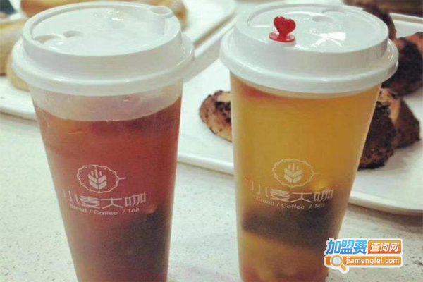 小麦大咖加盟费