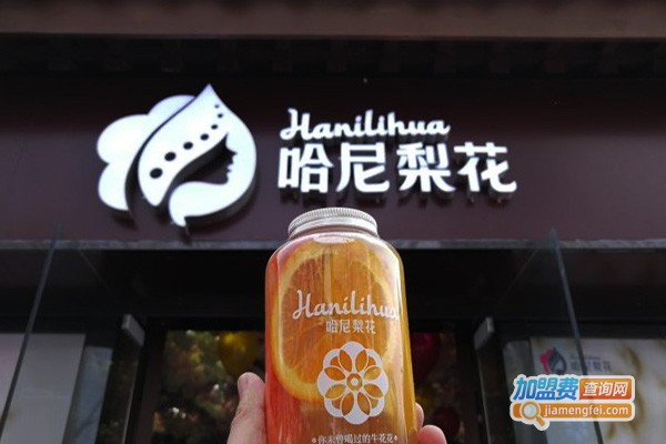 哈尼梨花民族茶饮加盟费