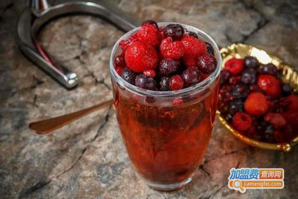 莓逗极寒境莓果现榨加盟费